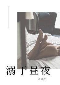 溺于昼夜（高H NP）封面